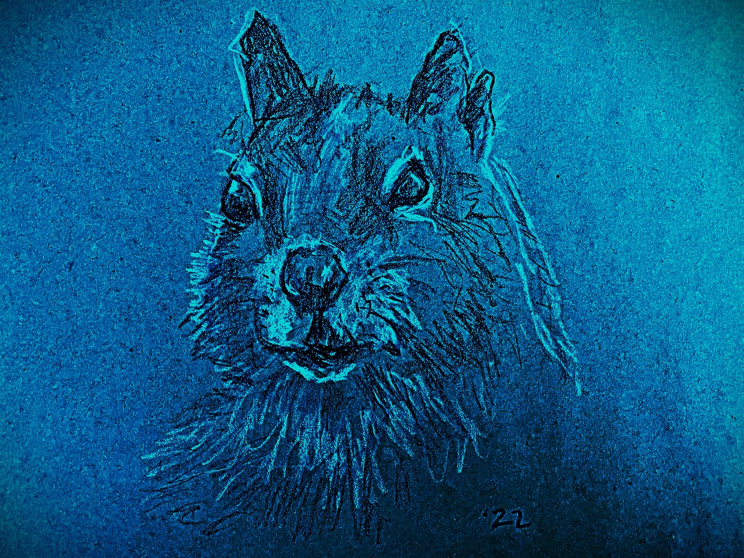 Psychosquirrel